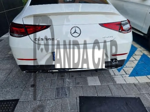 2023 Mercedes-Benz CLS300 d 4MATIC, photograph 2