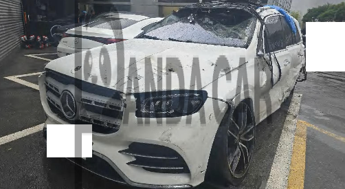 2023 Mercedes-Benz GLS580 4MATIC, photograph 1