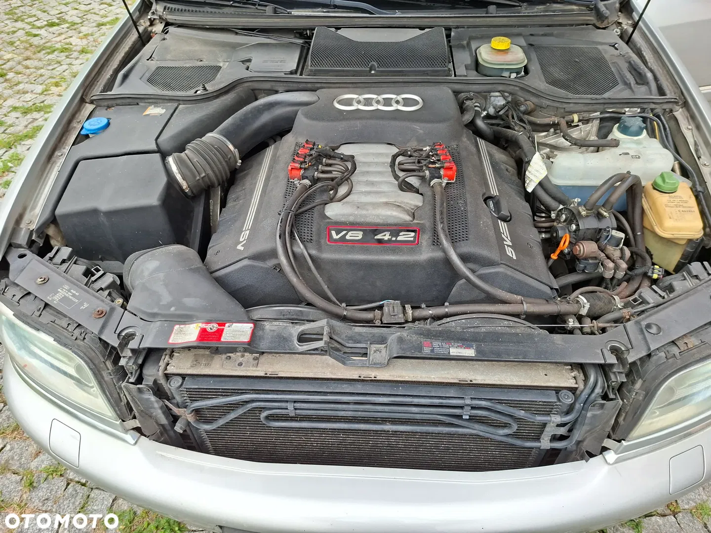2001 Audi S8, photograph 11