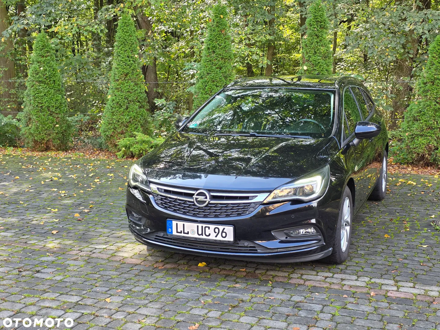 2017 Opel Astra 1.6 CDTI DPF ecoFLEX Start/Stop Exklusiv, photograph 10