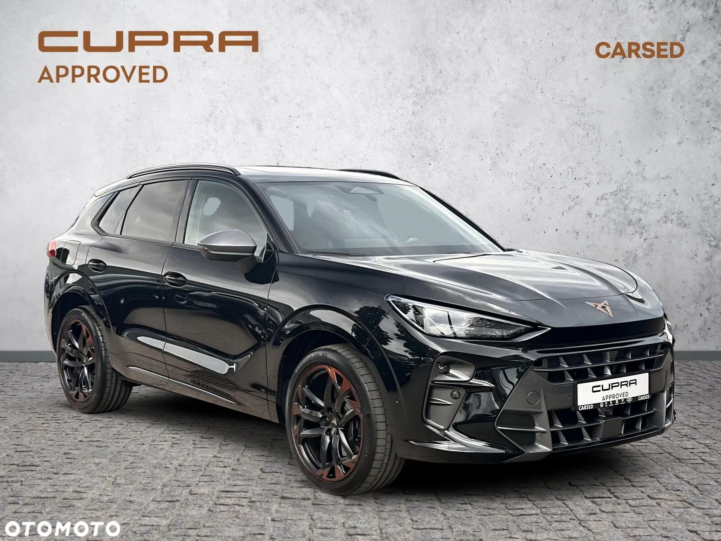 2025 Cupra Terramar 2.0 TSI 4Drive VZ DSG, photograph 9