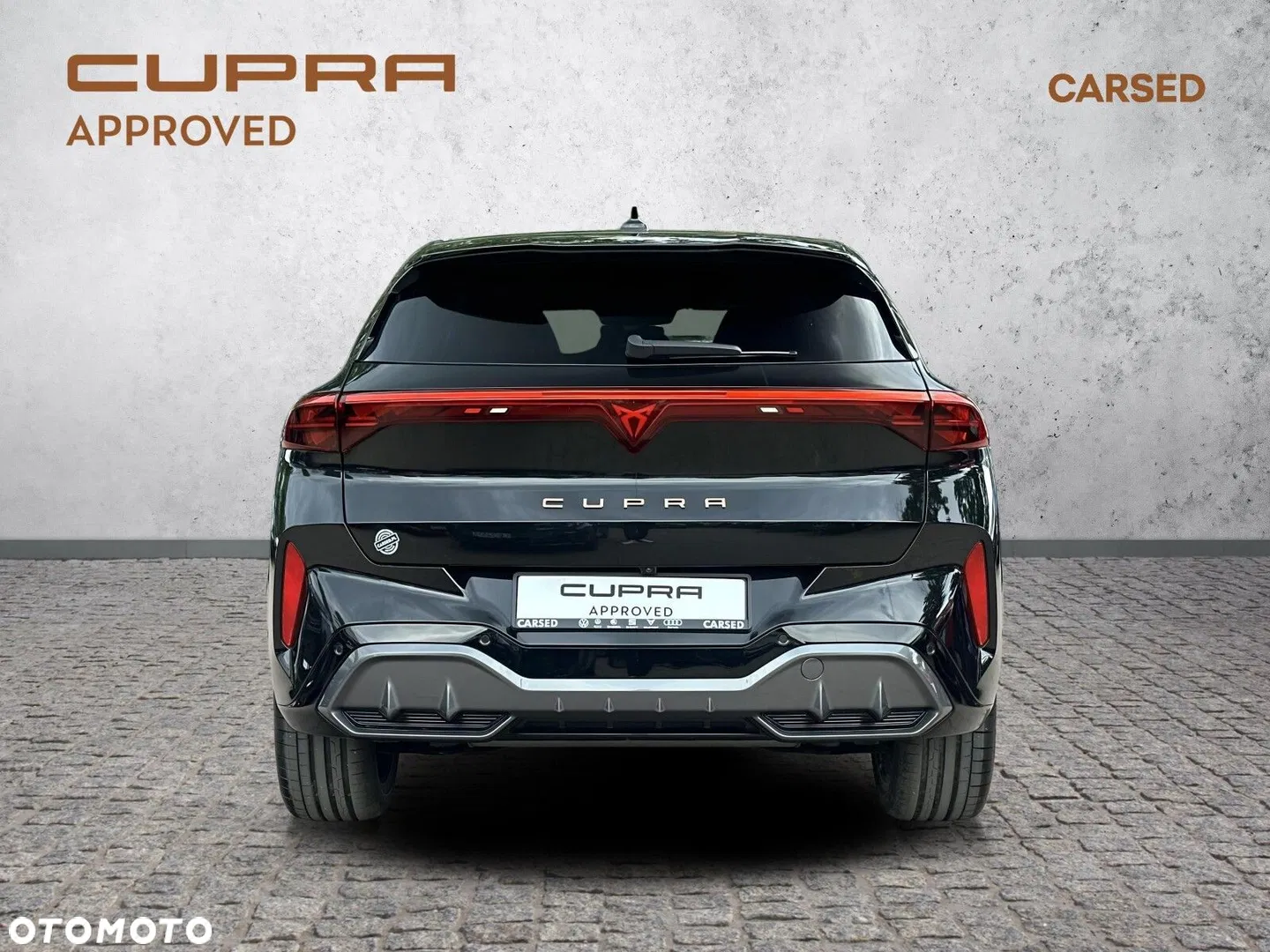 2025 Cupra Terramar 2.0 TSI 4Drive VZ DSG, photograph 6
