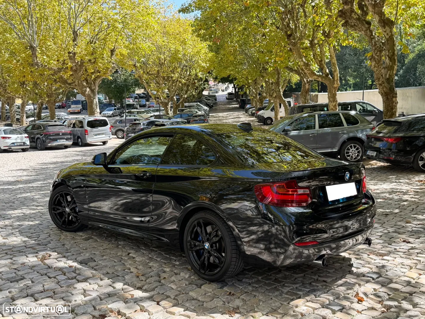 2014 BMW Série 2 Standard, photograph 7