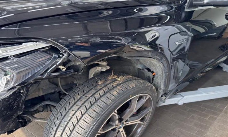 2022 BMW X5 xDrive45e iPerformance, photograph 2