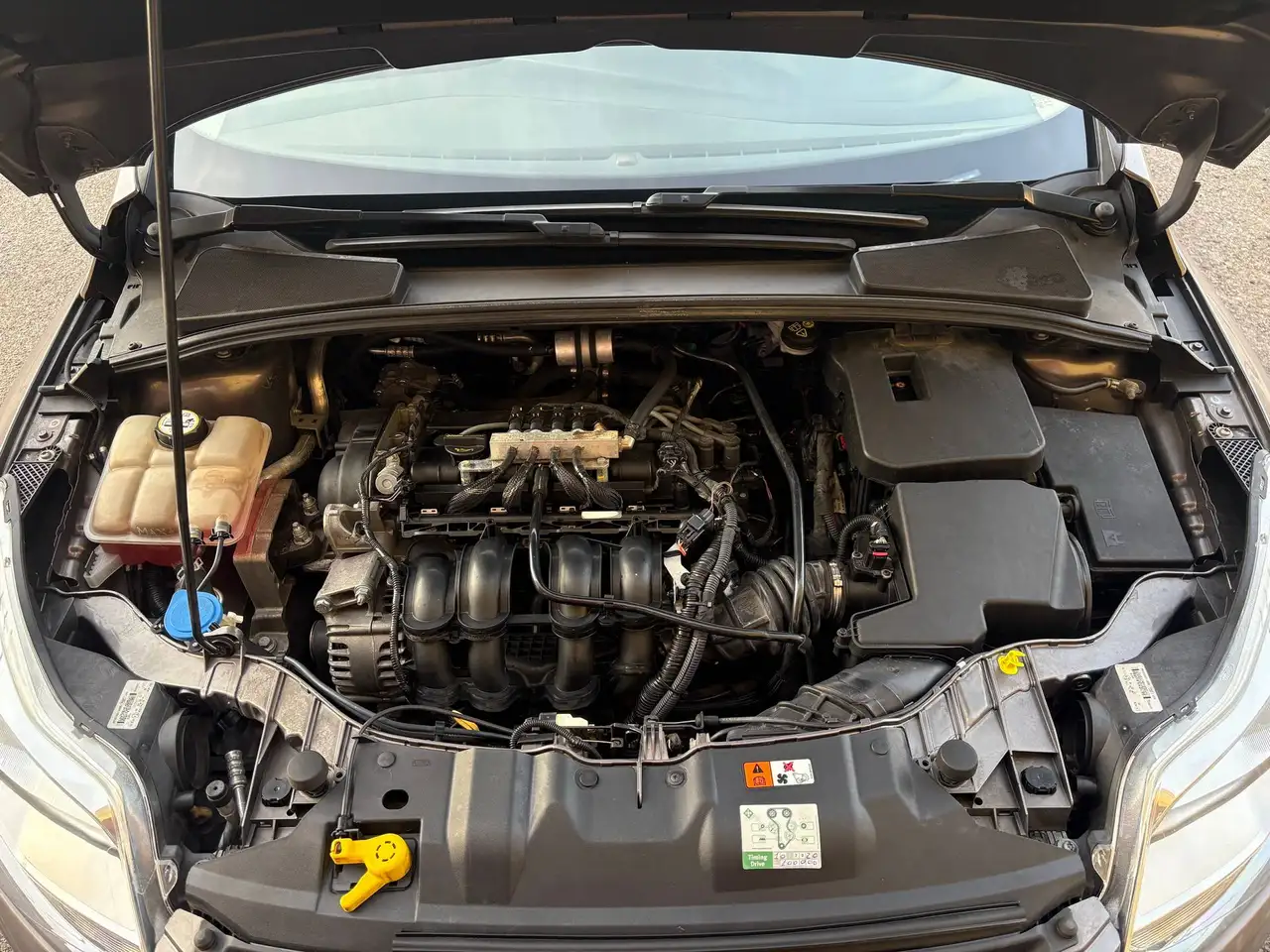 2014 Ford Focus 1.6 GPL, Unico Proprietario, Bombola 2036, photograph 12