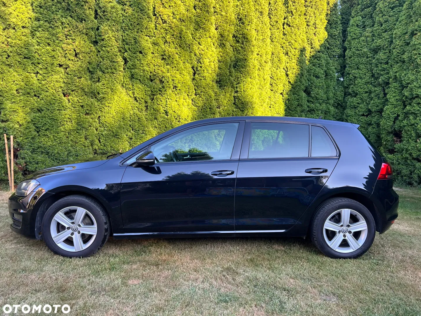 2012 Volkswagen Golf 1.6 TDI Highline, photograph 8