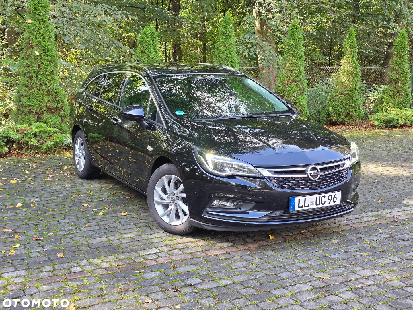 2017 Opel Astra 1.6 CDTI DPF ecoFLEX Start/Stop Exklusiv, photograph 2