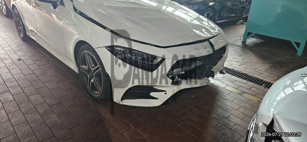 2019 Mercedes-Benz CLS 300 d, photograph 2