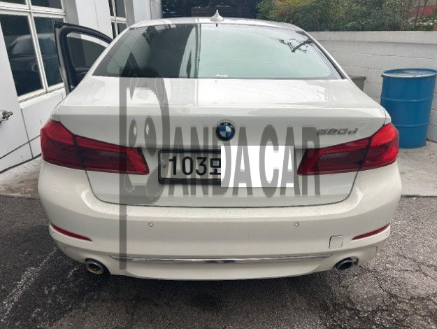 2020 BMW 520d Luxury, photograph 5