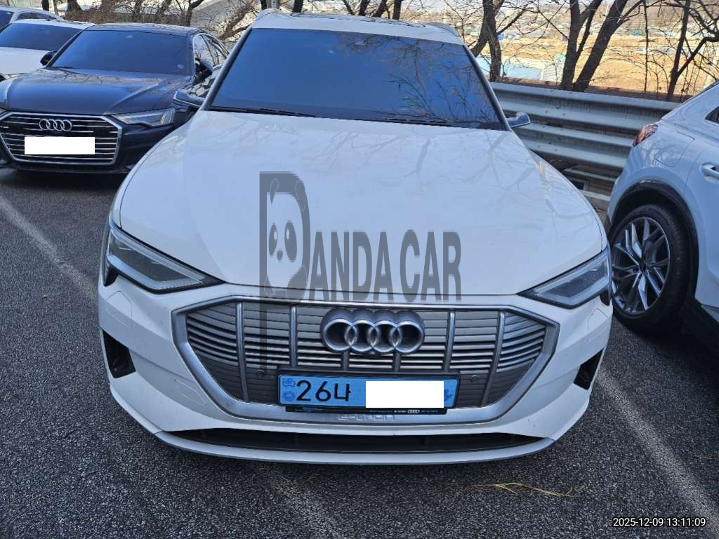 2020 Audi e-tron 55 quattro, photograph 1