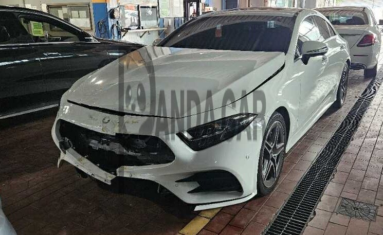 2019 Mercedes-Benz CLS 300 d, photograph 1