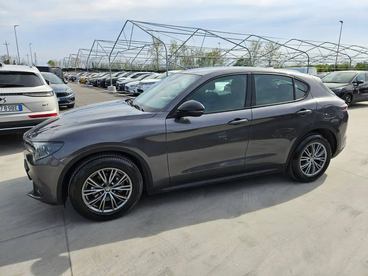 2023 Alfa Romeo Stelvio Stelvio Super Q4 210cv auto - GP389FV, photograph 4