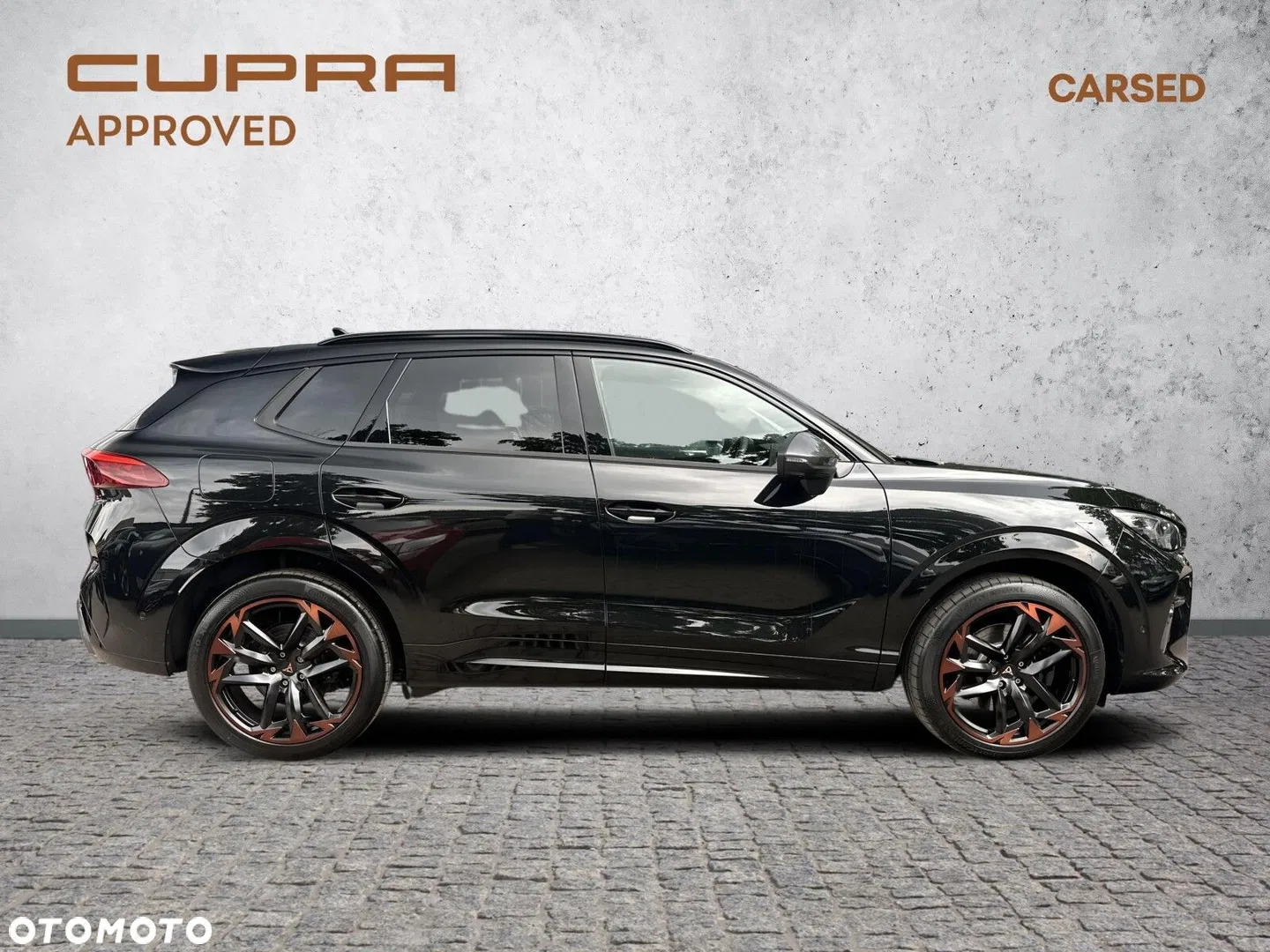2025 Cupra Terramar 2.0 TSI 4Drive VZ DSG, photograph 8