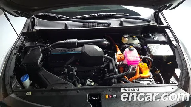 Kia Sportage Nobleless 2WD — photo 1 of 33