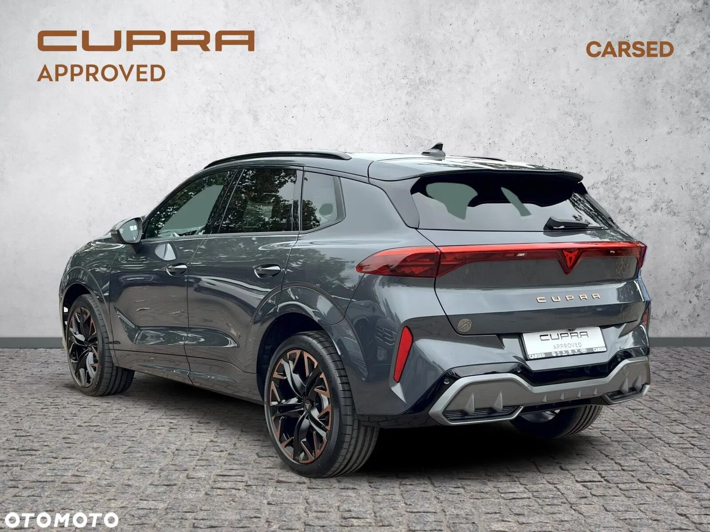 2025 Cupra Terramar 2.0 TSI 4Drive VZ DSG, photograph 3