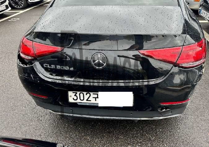 2019 Mercedes-Benz CLS 300 d, photograph 1
