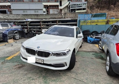 2020 BMW 520d xDrive Luxury, photograph 5
