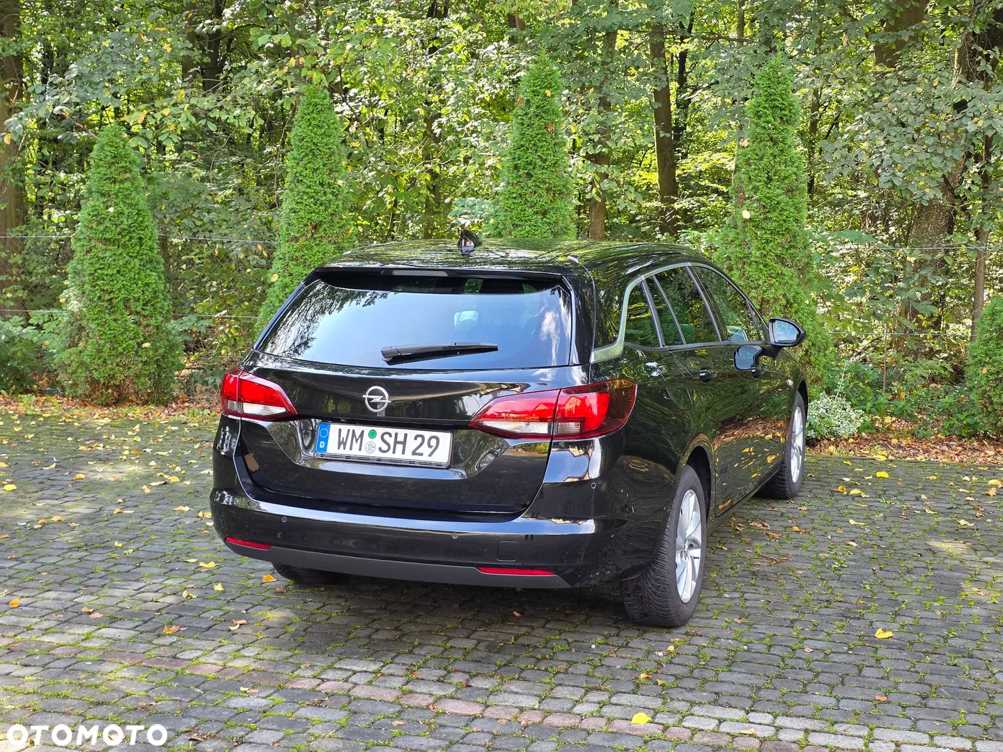 2017 Opel Astra 1.6 CDTI DPF ecoFLEX Start/Stop Exklusiv, photograph 12