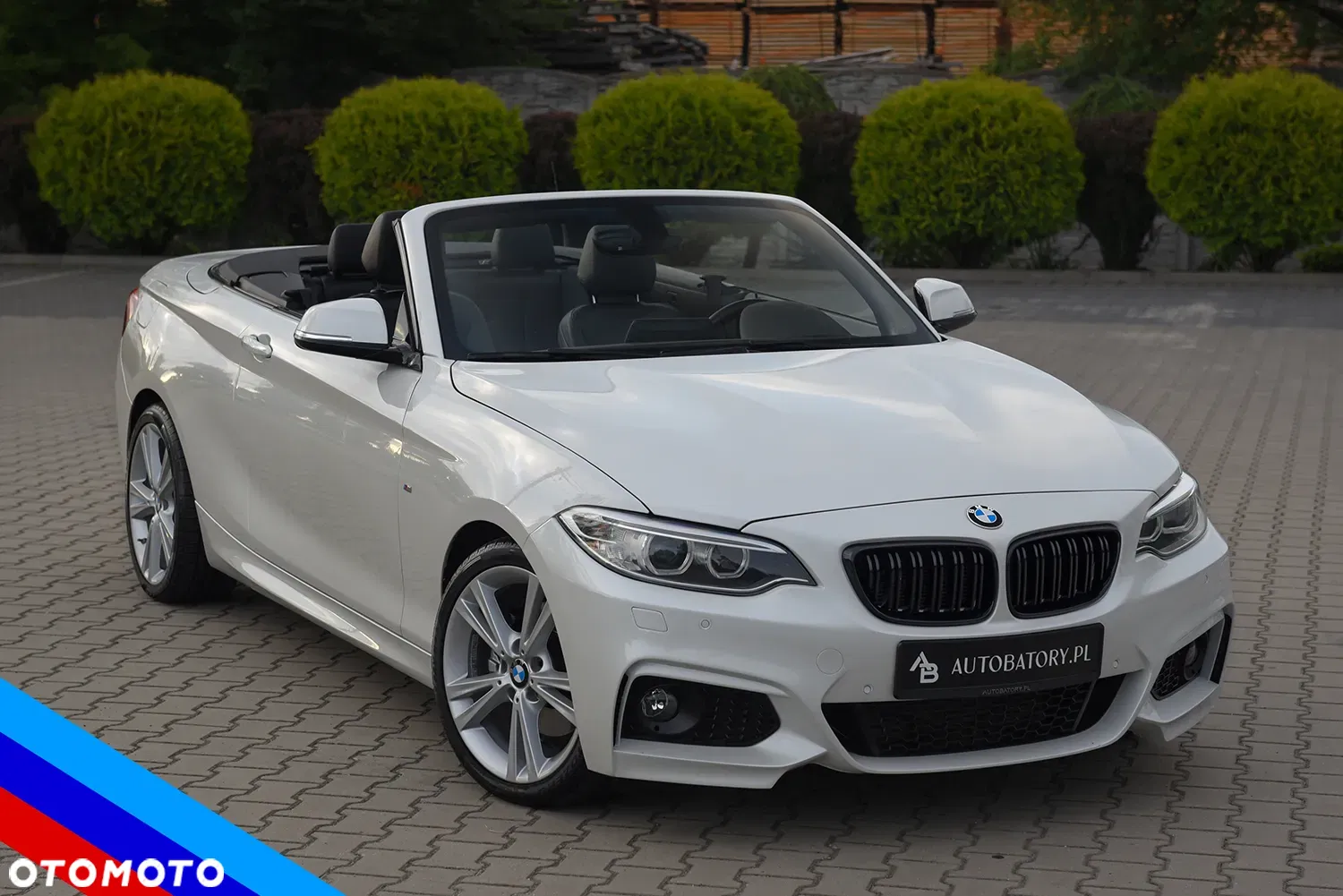 2015 BMW Seria 2 220d M Sport, photograph 1