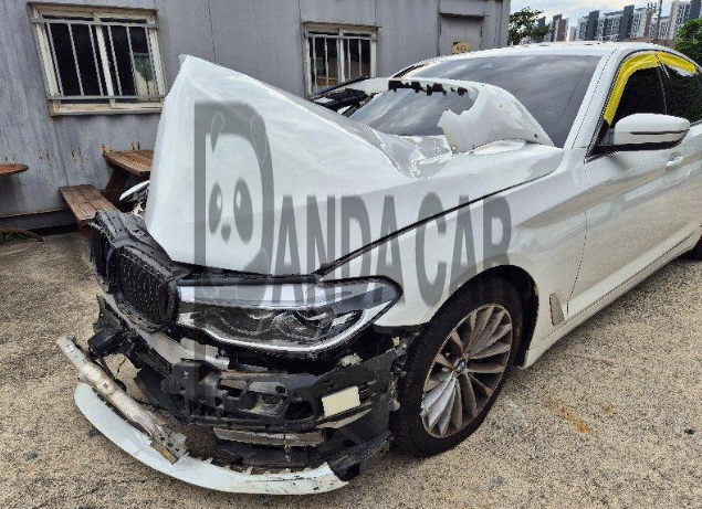 2019 BMW 530i xDrive Luxury, photograph 2