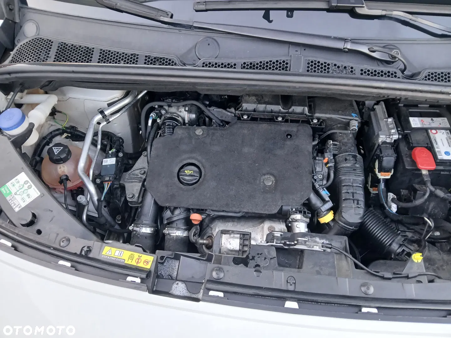 2020 Toyota Proace City Verso Long 1.5 D-4D Business, photograph 12
