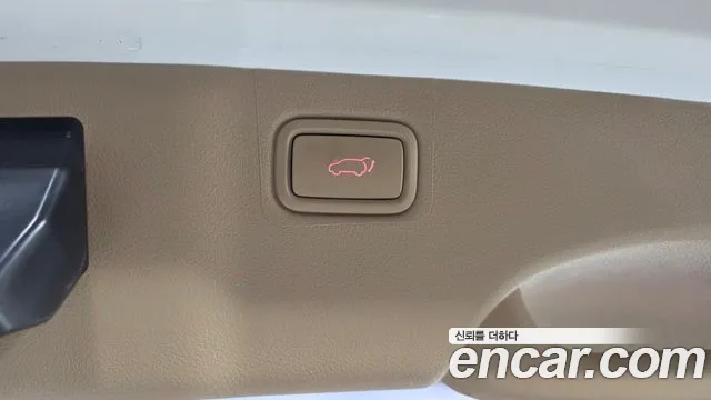 2019 Kia Canival 9-Seater Noblesse Special, photograph 11
