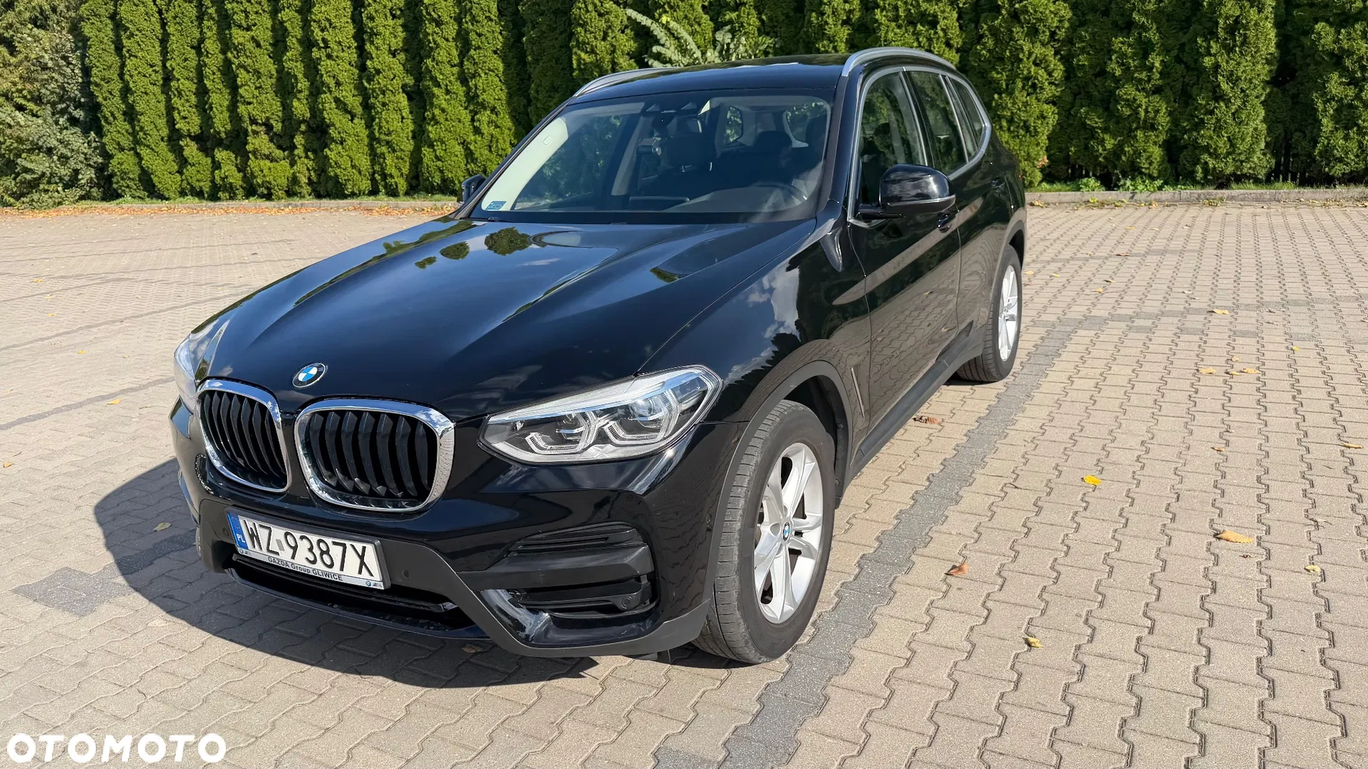 2019 BMW X3 xDrive20d Advantage, photograph 2