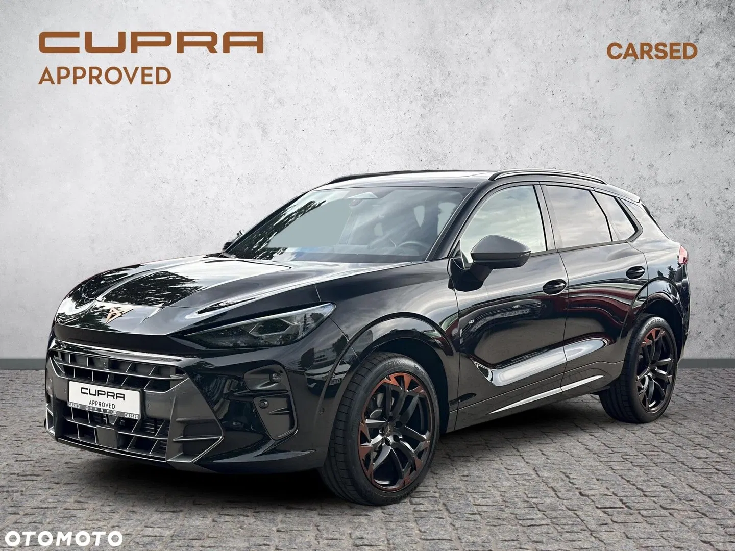 2025 Cupra Terramar 2.0 TSI 4Drive VZ DSG, photograph 1