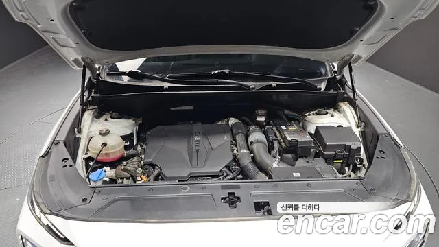 2021 Hyundai Santafe Gasoline 2.5T 4WD, photograph 8