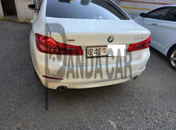 2019 BMW 520d xDrive Luxury, photograph 4