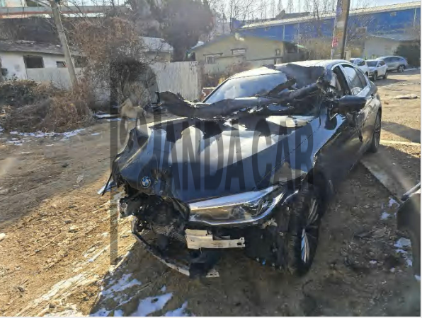 2020 BMW 520d Luxury, photograph 1