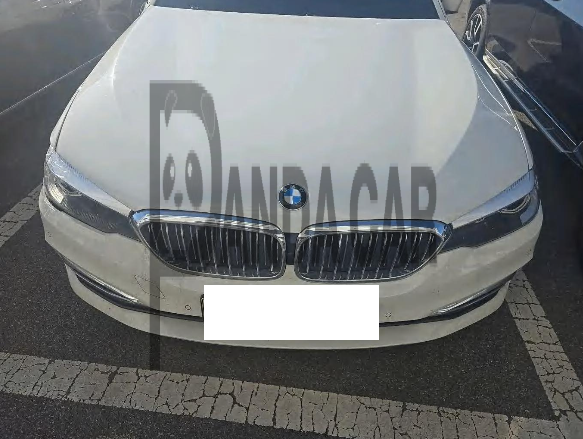 2019 BMW 520i Luxury, photograph 1