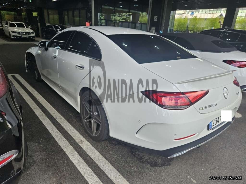 2023 Mercedes-Benz CLS300 d 4MATIC, photograph 3