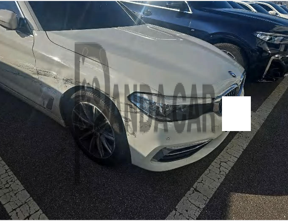 2019 BMW 520i Luxury, photograph 2