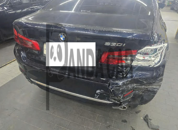 2020 BMW 530i Luxury, photograph 3
