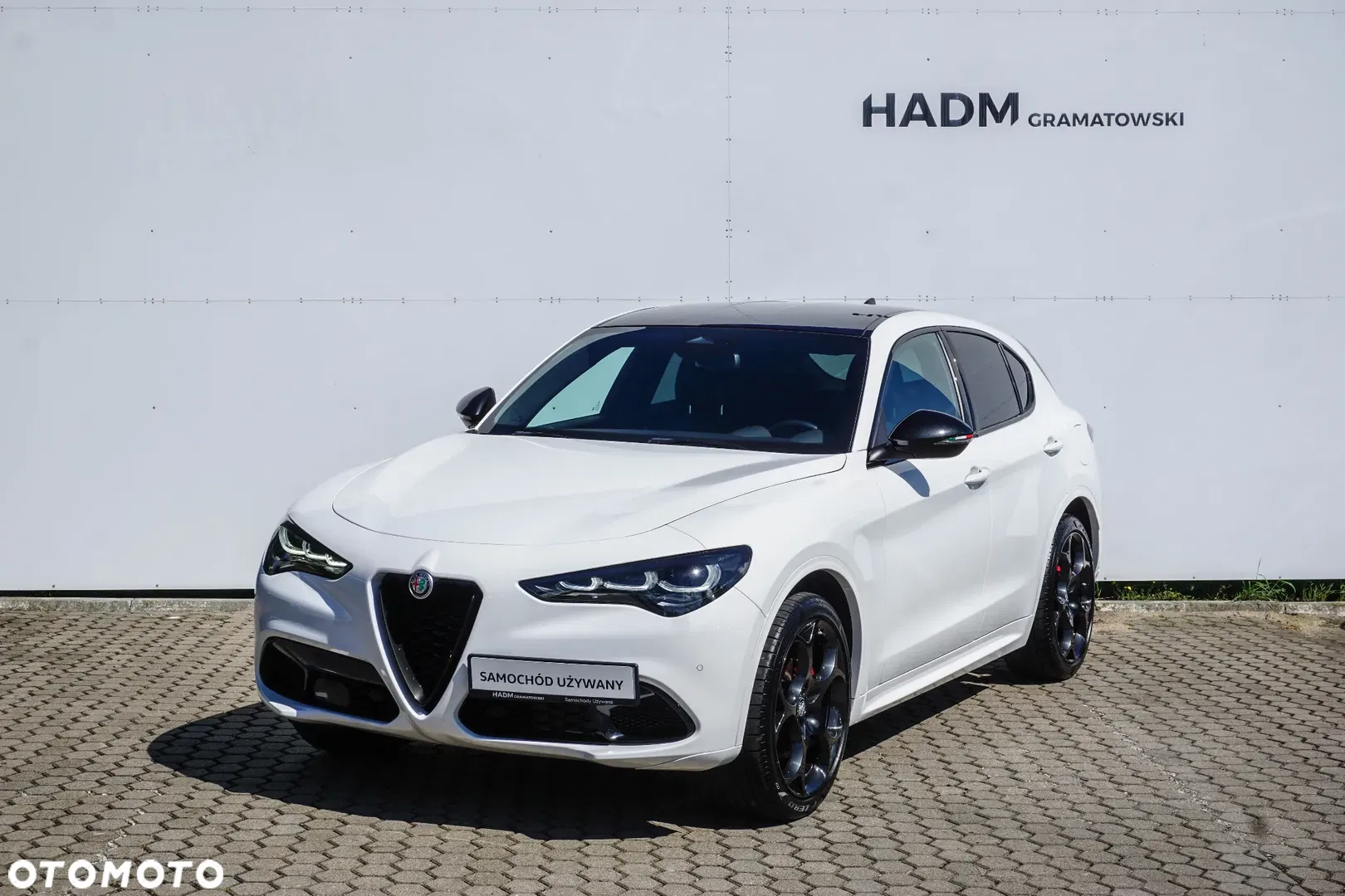 2024 Alfa Romeo Stelvio 2.0 Turbo Tributo Italiano Q4, photograph 3