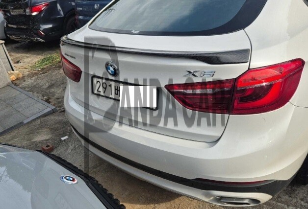 2018 BMW X6 xDrive30d, photograph 1