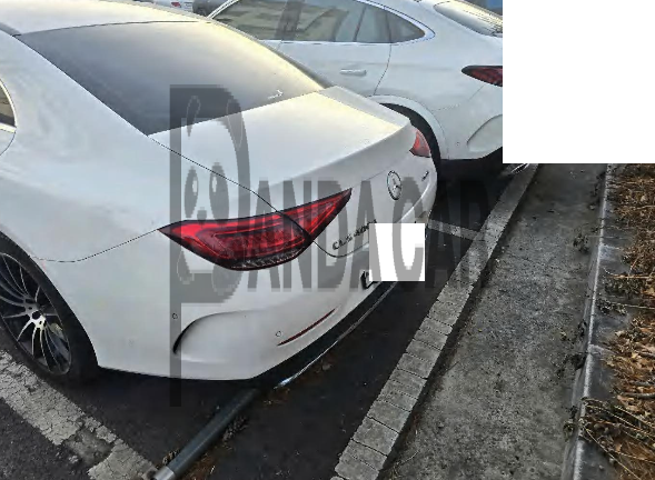 2019 Mercedes-Benz CLS400 d 4Matic, photograph 3