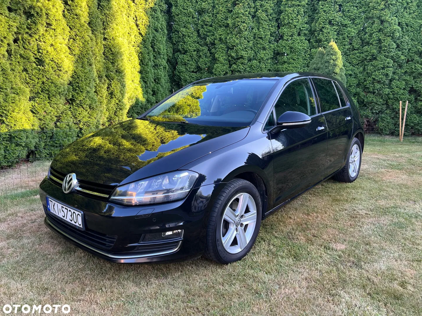 2012 Volkswagen Golf 1.6 TDI Highline, photograph 1