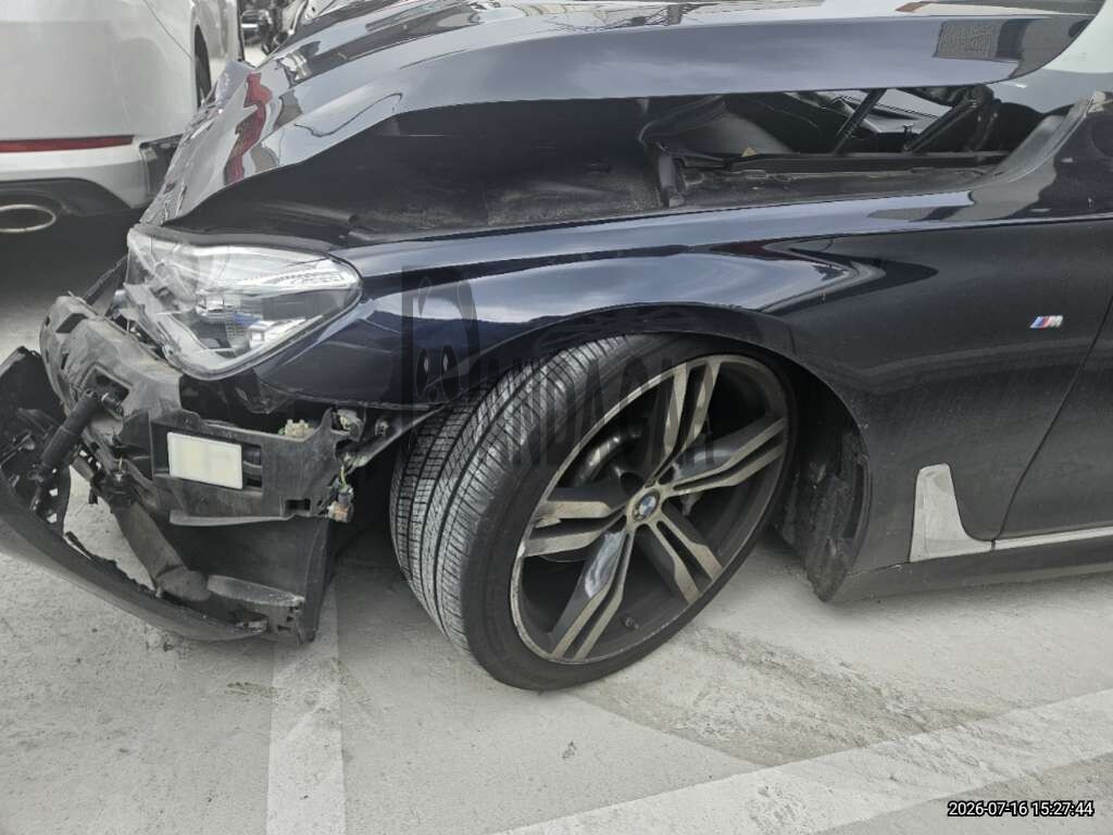 2019 BMW 730Ld xDrive WLTP, photograph 4