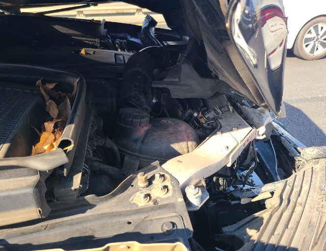 2019 Mercedes-Benz GLC300 4Matic, photograph 3