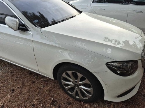 2019 Mercedes-Benz E220 d 4Matic, photograph 2