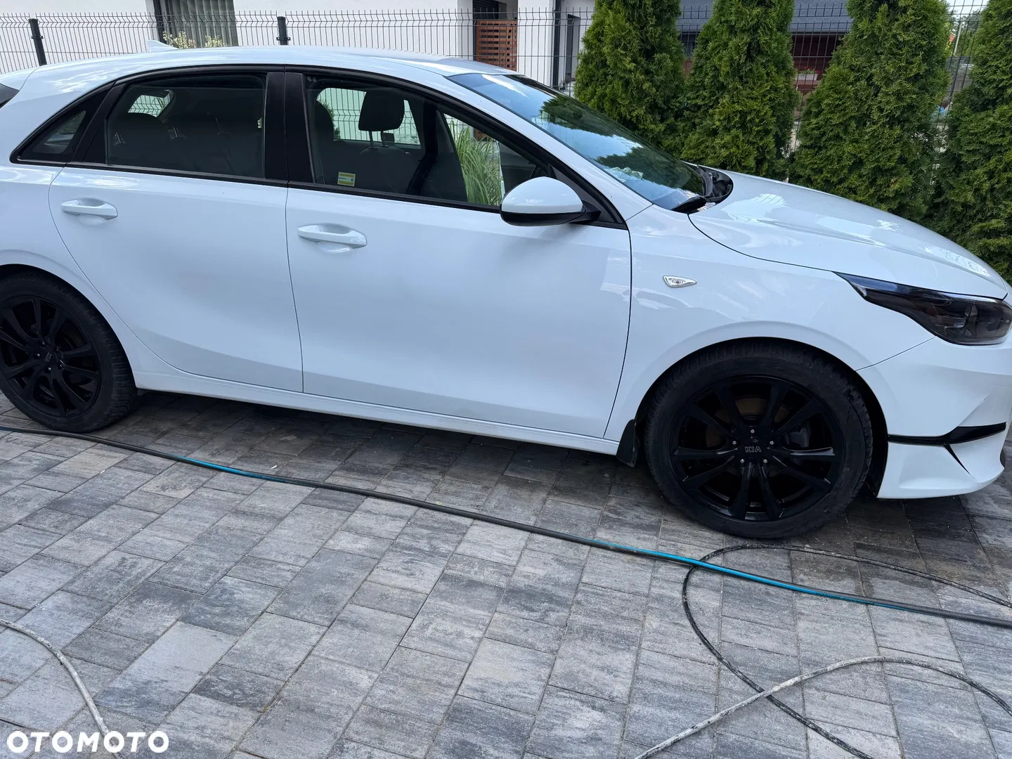 Kia Ceed 1.5 T-GDI L — photo 1 of 25