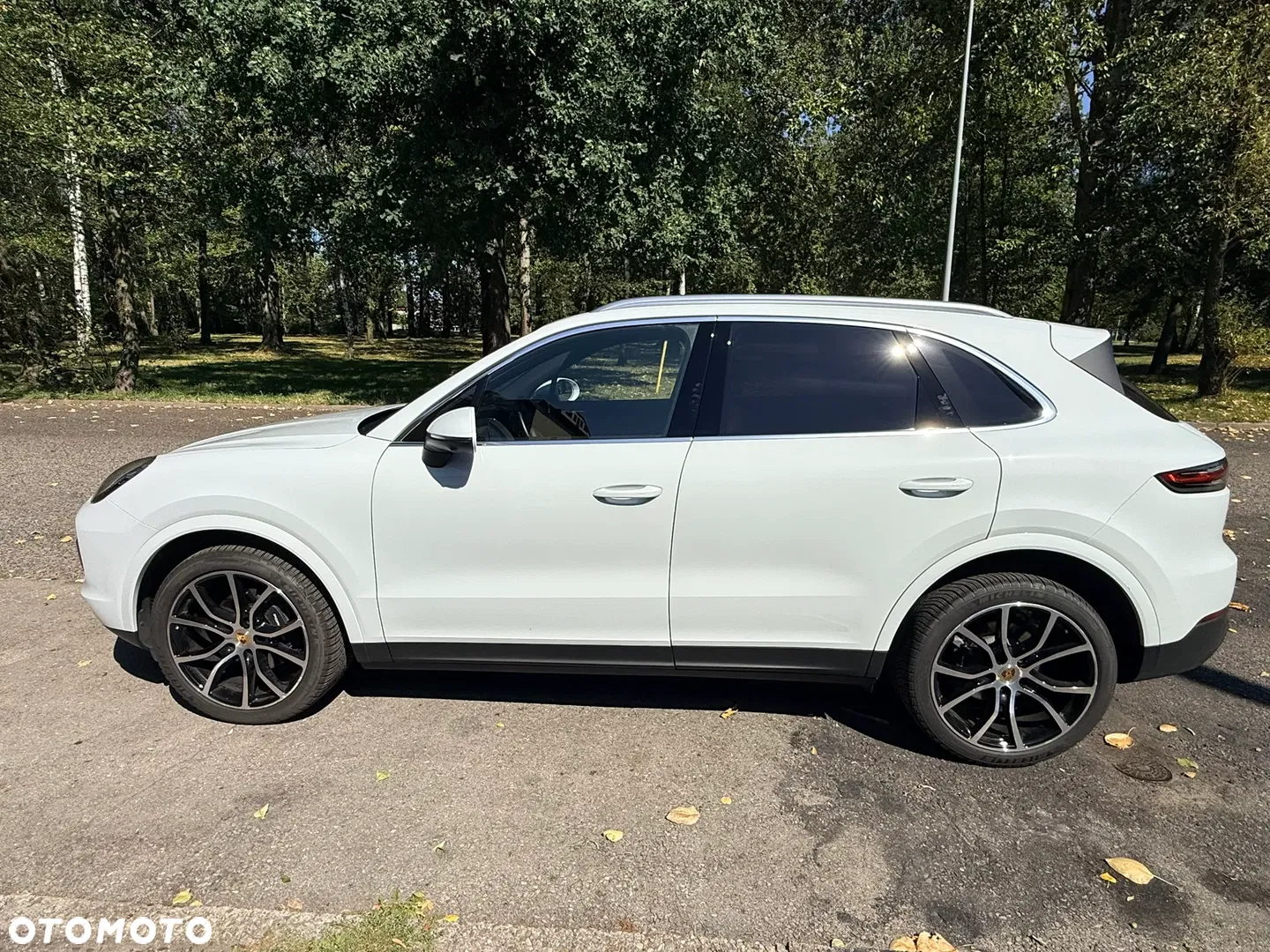 2021 Porsche Cayenne Standard, photograph 7
