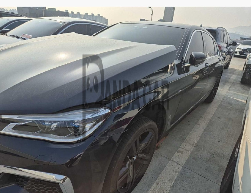 2019 BMW 730Ld xDrive WLTP, photograph 2