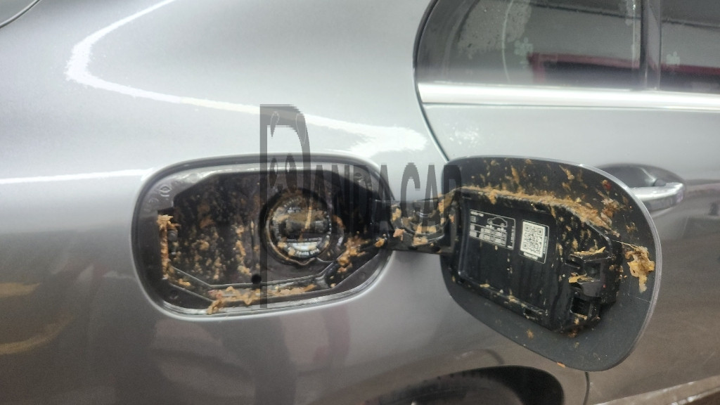 2019 Mercedes-Benz Benz C 200, photograph 1