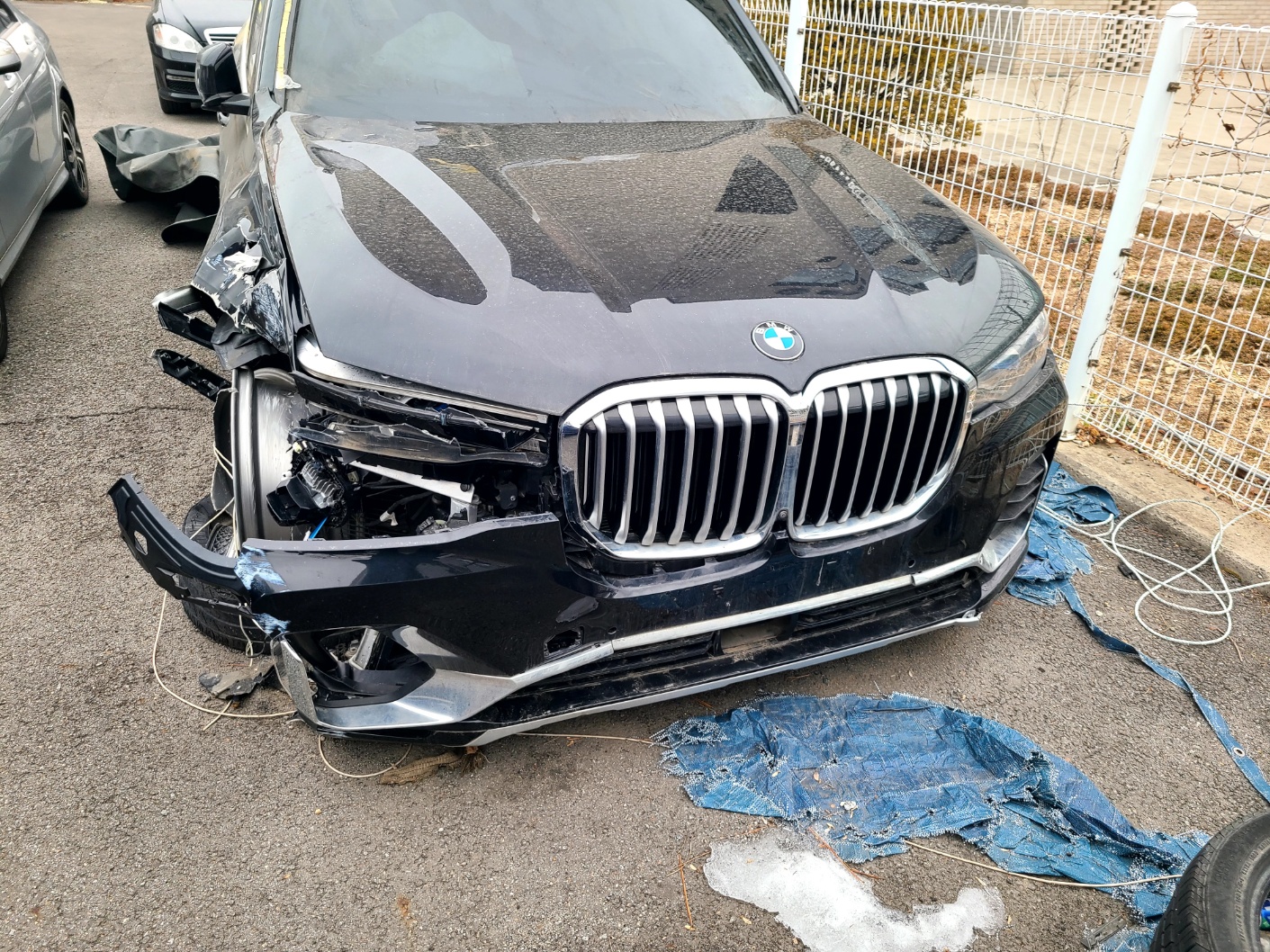 2020 BMW X7 xDrive30d Design Pure Excellence, photograph 7