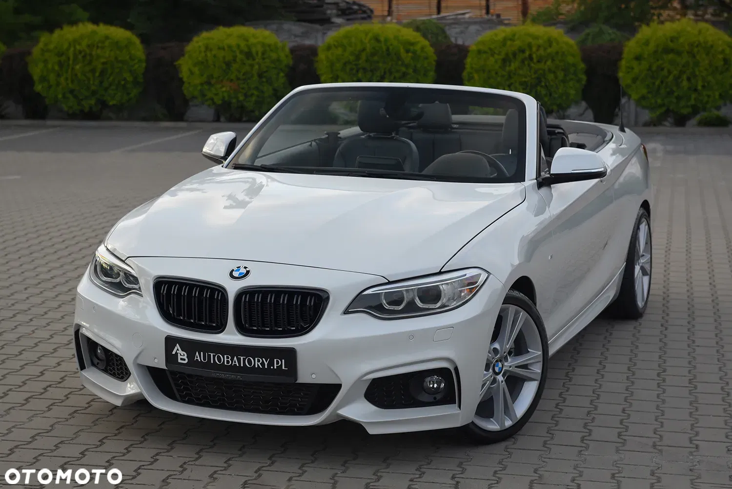 2015 BMW Seria 2 220d M Sport, photograph 3