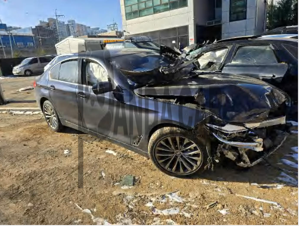 2020 BMW 520d Luxury, photograph 5