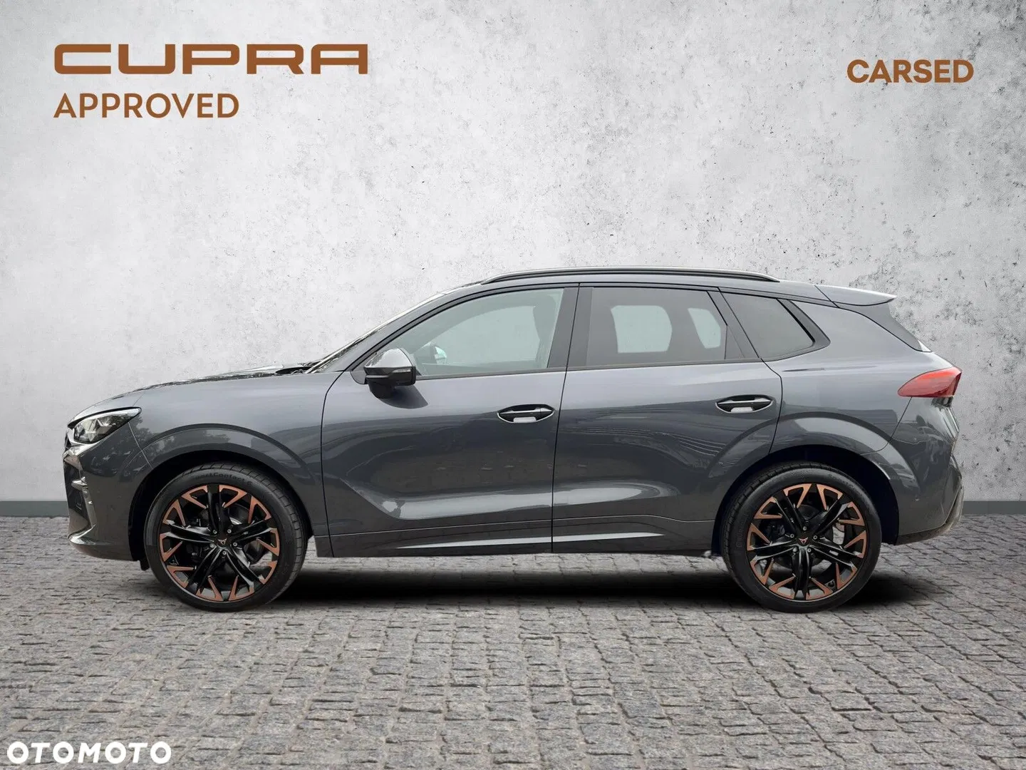 2025 Cupra Terramar 2.0 TSI 4Drive VZ DSG, photograph 2